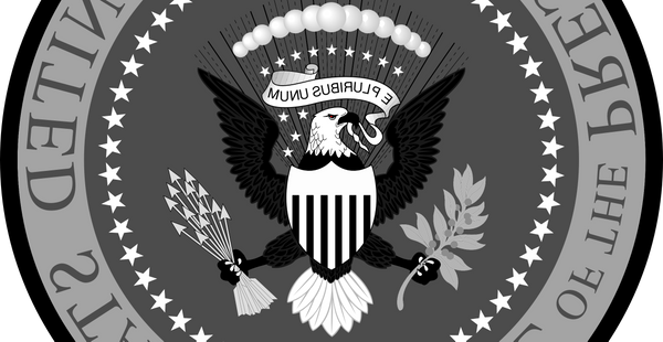 On Federalized Murder and the Erosion of Language